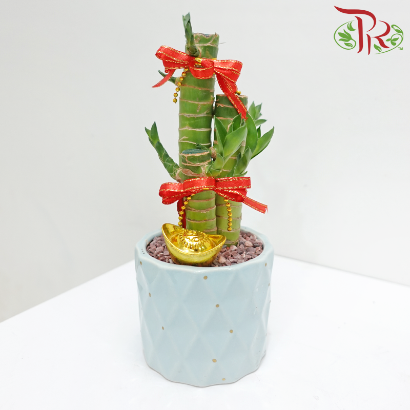 CNY 3in1 Bamboo Arrangement (Random Choose Design & CNY Ornaments) (With Pot Colour Options)