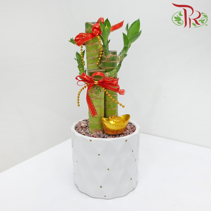 CNY 3in1 Bamboo Arrangement (Random Choose Design & CNY Ornaments) (With Pot Colour Options)