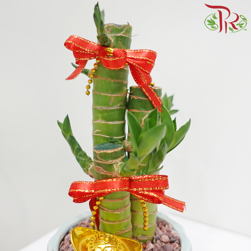 CNY 3in1 Bamboo Arrangement (Random Choose Design & CNY Ornaments) (With Pot Colour Options)