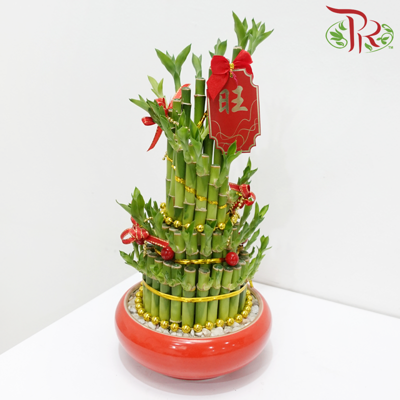 CNY Risen Bamboo Arrangement in Red Pot《蒸蒸日上》(Random Choose Design & CNY Ornaments)