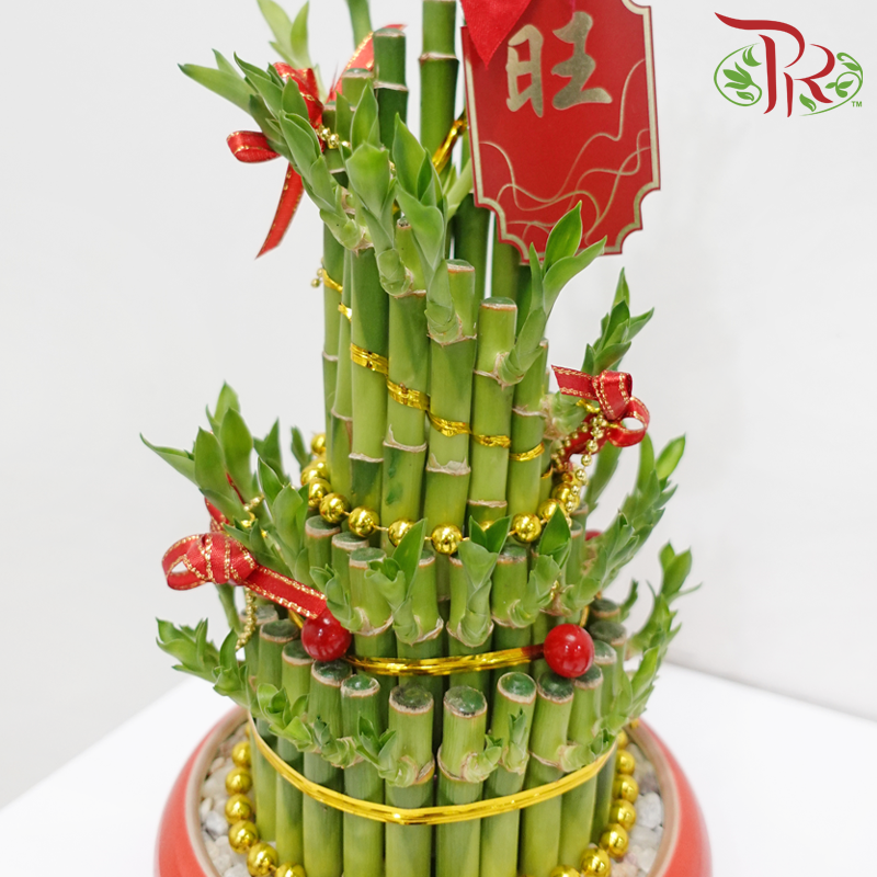 CNY Risen Bamboo Arrangement in Red Pot《蒸蒸日上》(Random Choose Design & CNY Ornaments)