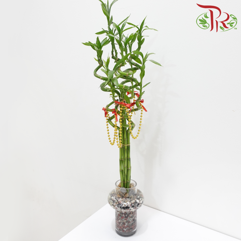 CNY Lucky Bamboo Vase Arrangement With Gold Colour Beads Deco (Random Choose Design & CNY Ornaments)