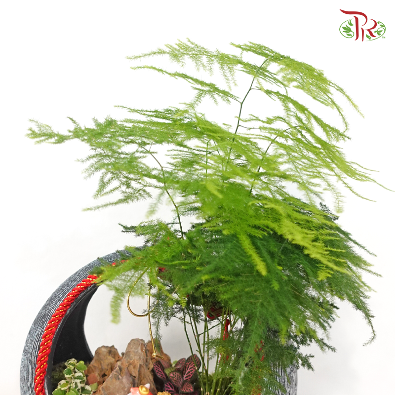 【CNY 2026】Golden Prosperity Flow《财源稳进》