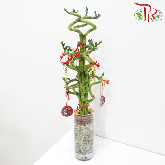 CNY Lucky Bamboo Cylinder Vase Arrangement  (Random Choose Design & CNY Ornaments)