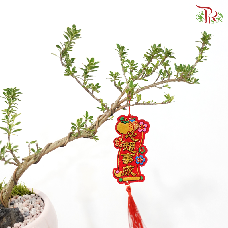 【CNY 2026】Serissa Snowlit Fortune《雪映富贵》