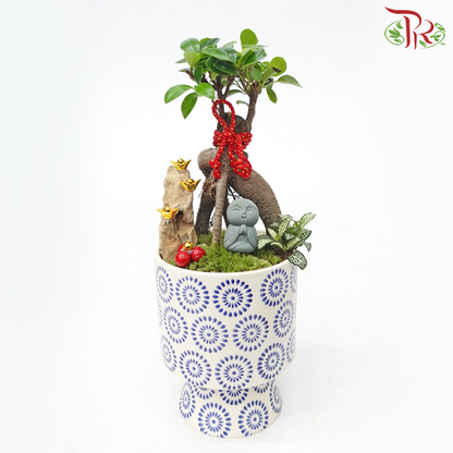 CNY Ficus Microcarpa Plant Arrangement《人参榕》(With Options) (Random Choose Design & CNY Ornaments)