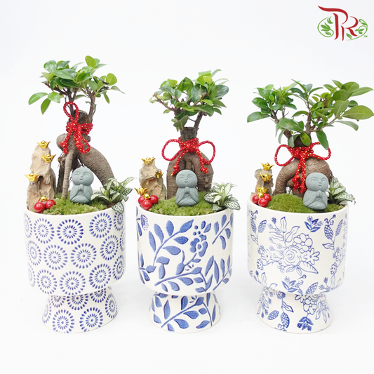 CNY Ficus Microcarpa Plant Arrangement《人参榕》(With Options) (Random Choose Design & CNY Ornaments)