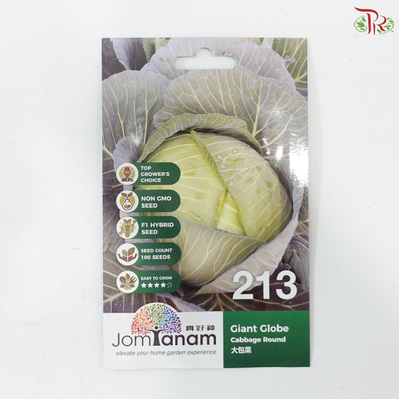 【Jom Tanam Seeds】Vegetable Series (Per Pack) (With Options)
