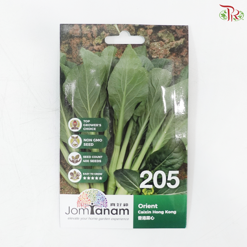【Jom Tanam Seeds】Vegetable Series (Per Pack) (With Options)