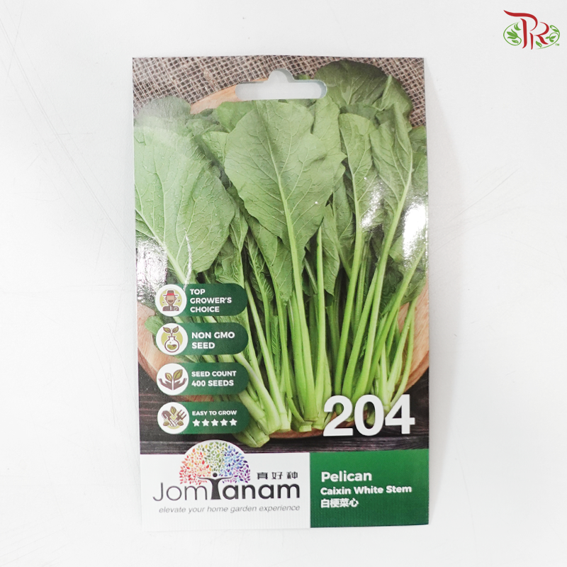 【Jom Tanam Seeds】Vegetable Series (Per Pack) (With Options)