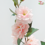 91cm - Artificial Camellia Spray - Pink (2 Stems)