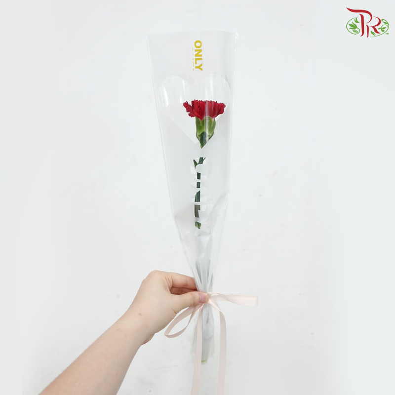 【Mum's Series】Single Stalk Wrapping Carnation