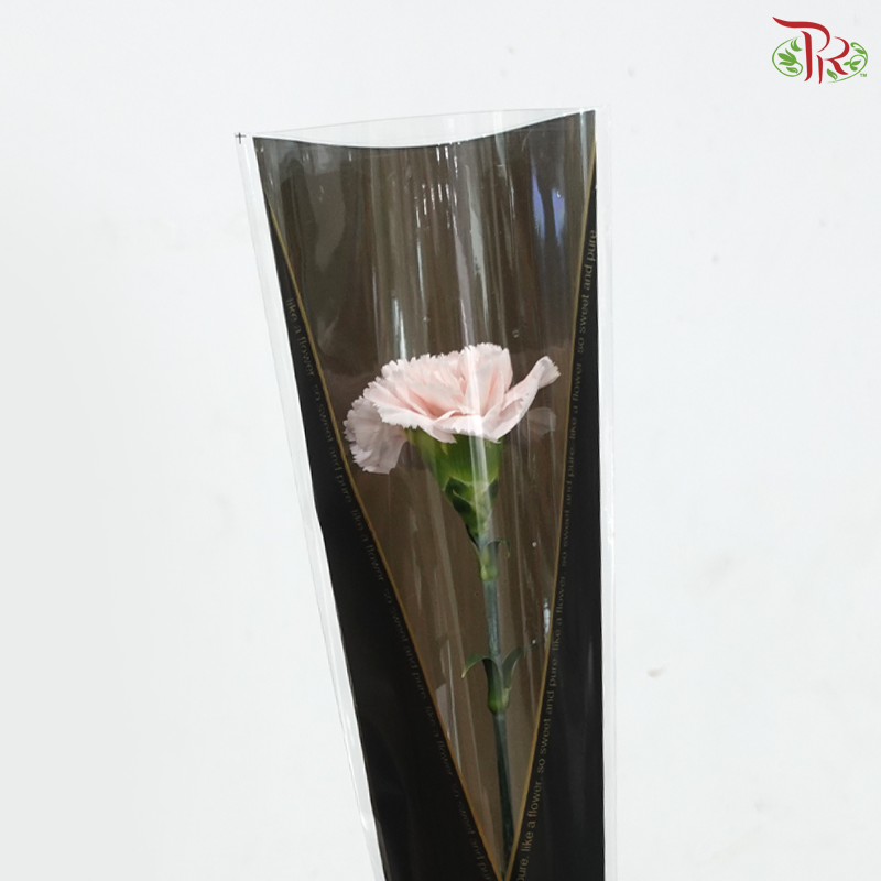 【Mum's Series】Single Stalk Wrapping Carnation