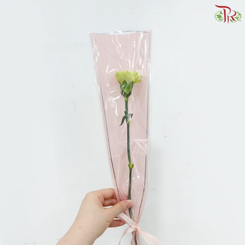 【Mum's Series】Single Stalk Wrapping Carnation
