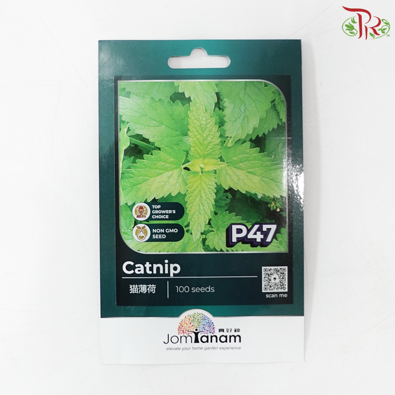 【Jom Tanam Seeds】Herbs Series (Per Pack) (With Options)