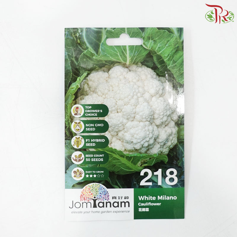【Jom Tanam Seeds】Vegetable Series (Per Pack) (With Options)