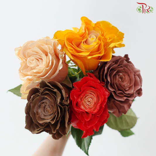 Ceres Rose - Mystic Autumn (10 Stems)