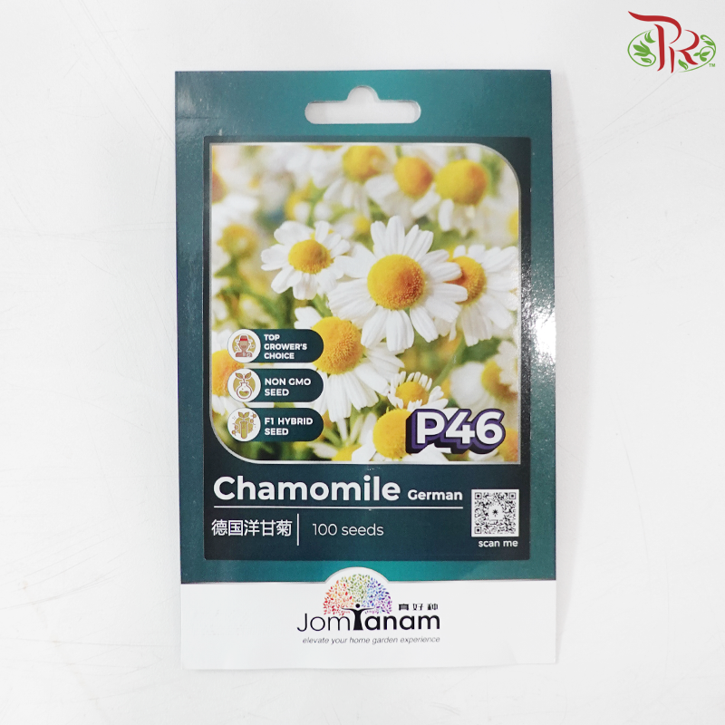 【Jom Tanam Seeds】Herbs Series (Per Pack) (With Options)