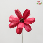 Dried Sunflower Seed Flower - Cherry Red (Per Bunch)