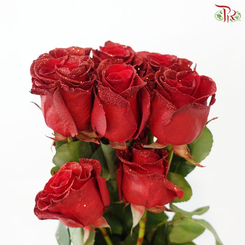 Star Rose - Christmas 19 (10 Stems)