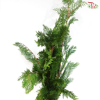 Christmas Leaf (Per Bunch)