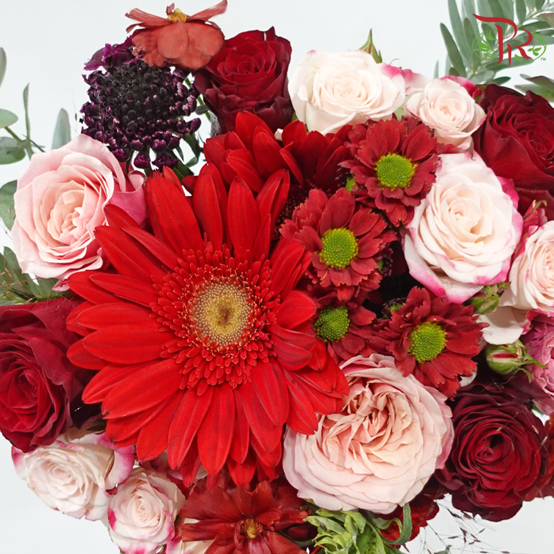 Signature Weekly Flower Bunch - Red Radiance (Gerbera, Rose Spray, Chrysanthemum Pom Pom & Eucalytpus) (Big Size)