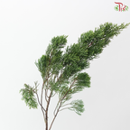 Christmas Leaf (Per Bunch)