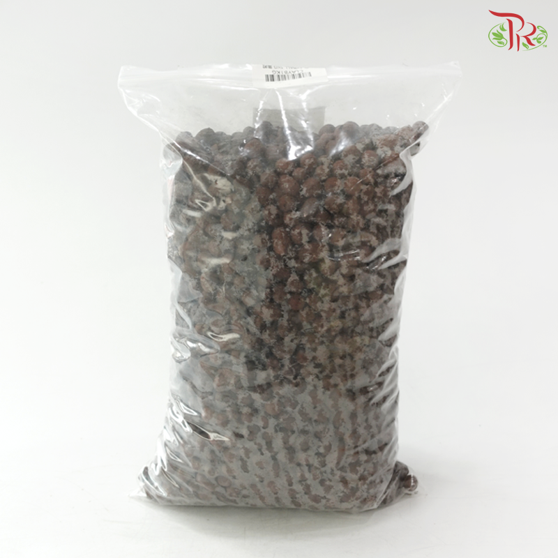 Clayball 陶粒 (1KG)