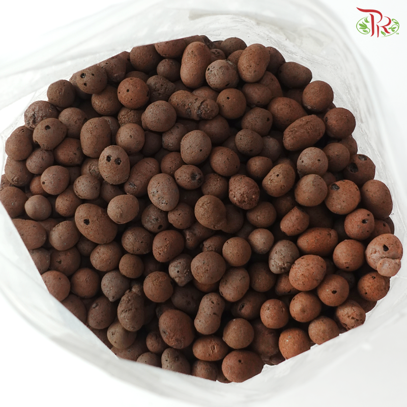 Clayball 陶粒 (1KG)