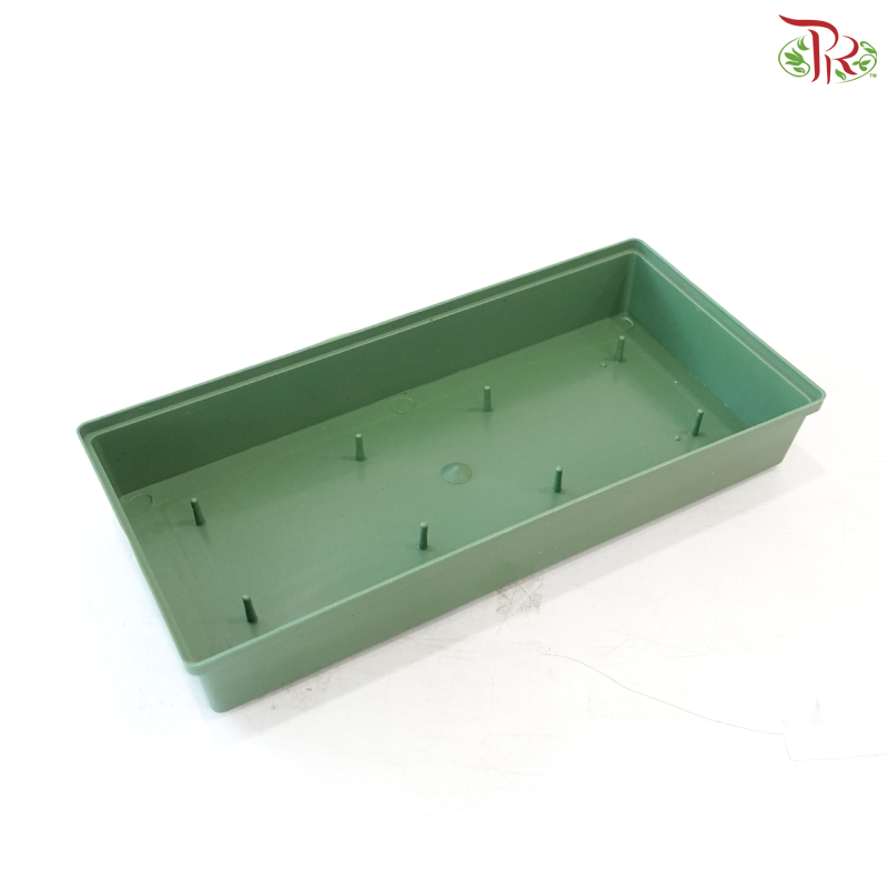 Container Rectangle Green - HL-507