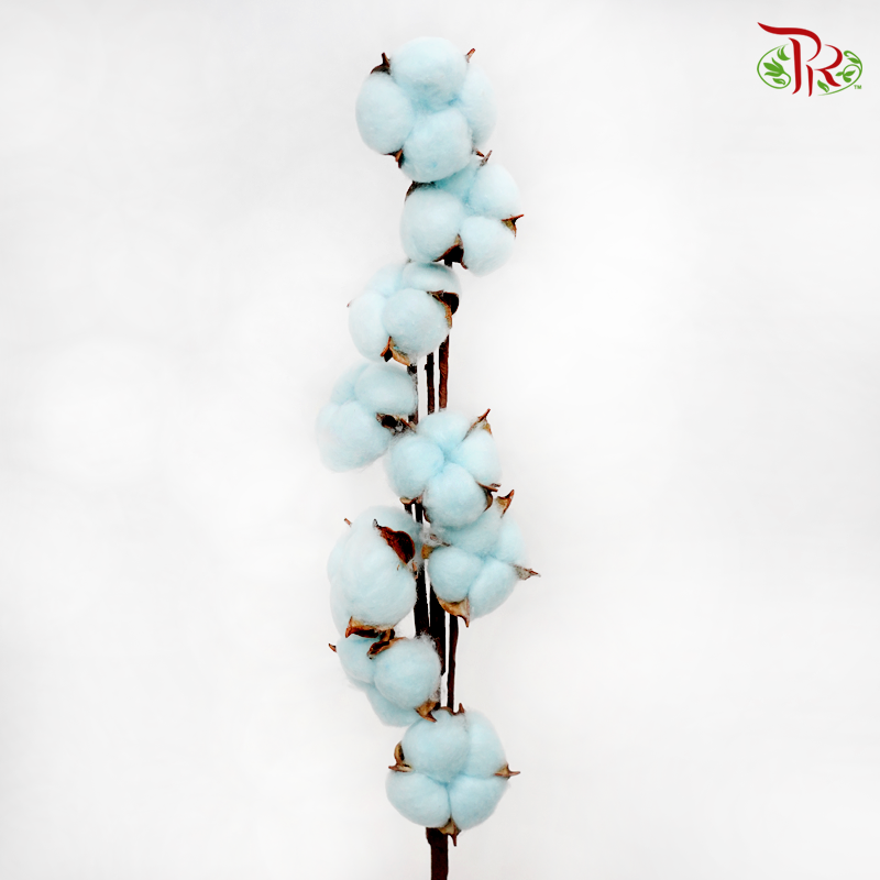 Artificial Cotton Flower - Sky Blue (Per Stem) - Pudu Ria Florist