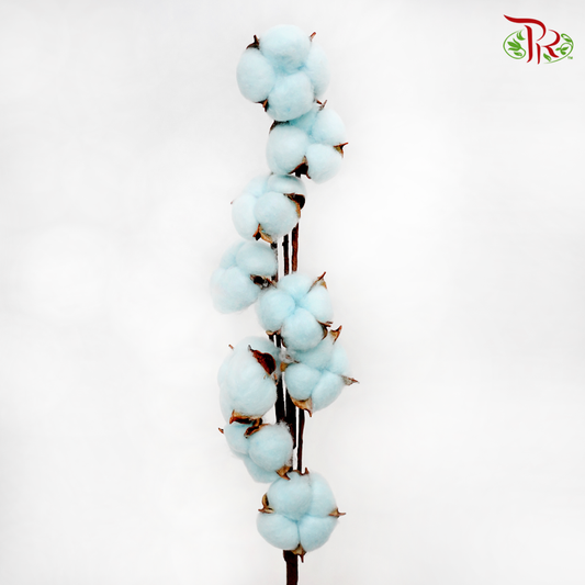 Artificial Cotton Flower - Sky Blue (Per Stem)