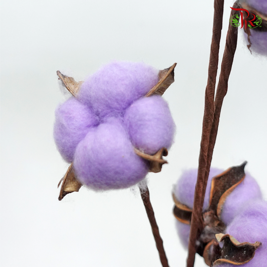 Artificial Cotton Flower - Purple (Per Stem)