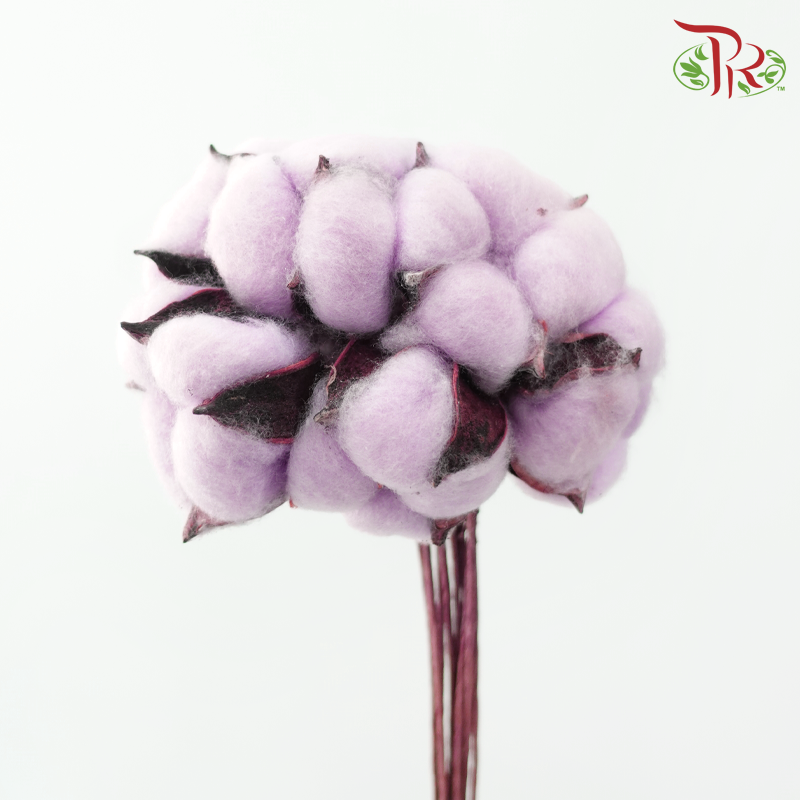 Artificial Cotton Flower - Light Purple (10 Stems)