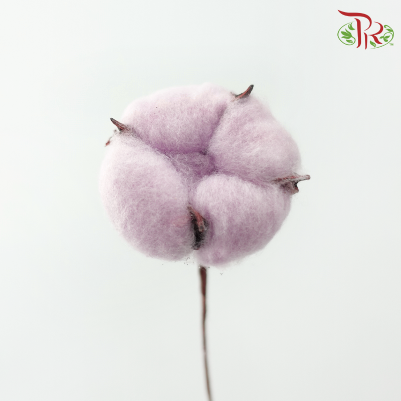 Artificial Cotton Flower - Light Purple (10 Stems)