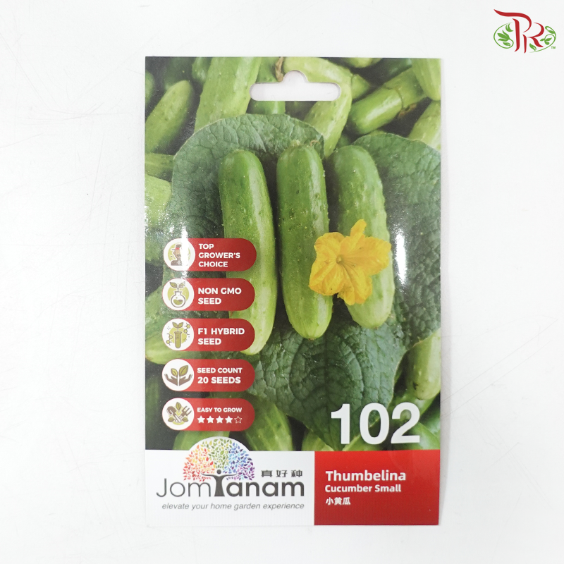 【Jom Tanam Seeds】Fruity Vegetable Series - Cucurbit / Climber (Per Pack) (With Options)