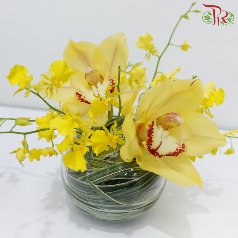 Summer Yellow (Cymbidium Arrangement in Round Fish Ball Vase)