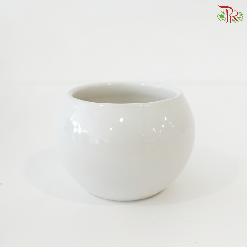 DH-10cm YQ White Pot