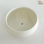 B-DWQ - White Short Pot