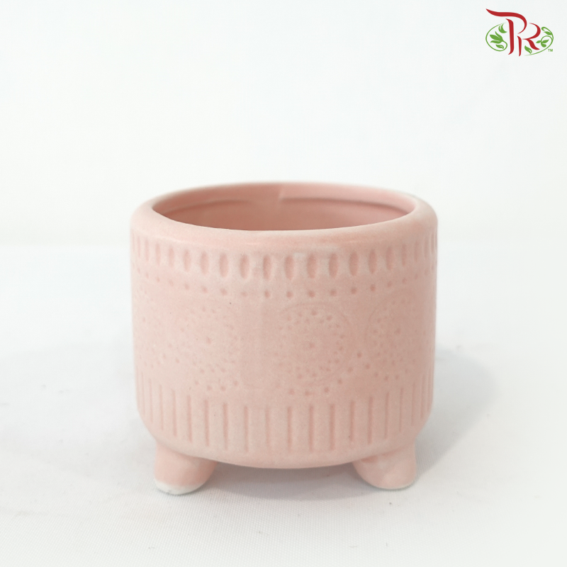 DS-1020-2C Asst Pot (With Color Options)