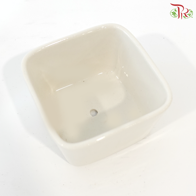 DH-DSF.R17 White Pot
