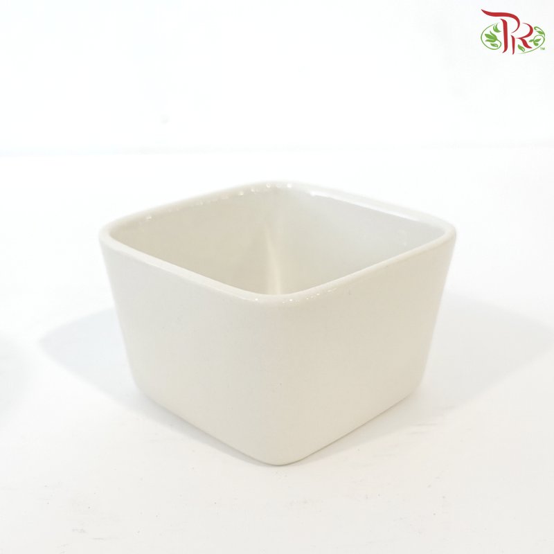 DH-DSF.R17 White Pot