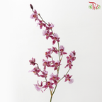 Orchid Oncidium Dancing Lady - Purple (Half Bunch)