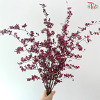 Orchid Oncidium Perfume - Purple With Yellow Heart (S) (10 Stems)