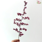 Orchid Oncidium Perfume - Purple With Yellow Heart (S) (10 Stems)