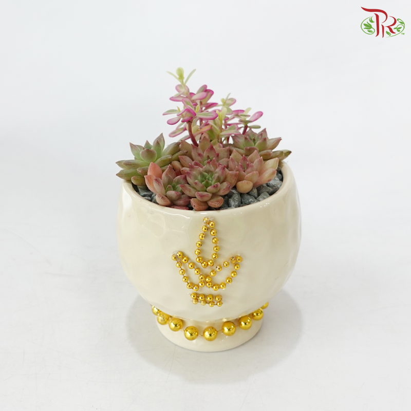 【Deepavali Series 2026】Gilded Light of Succulent