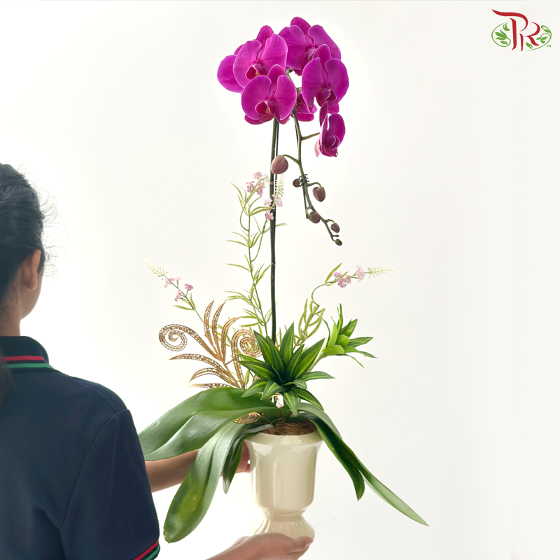 【Deepavali Series 2026】The Royal Deepavali Bloom