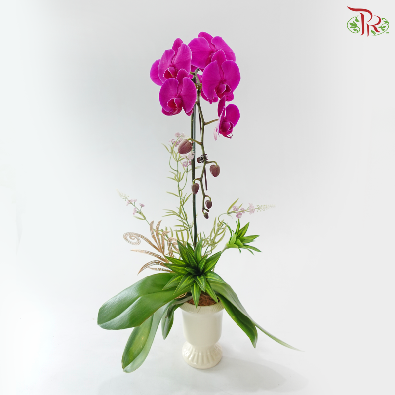 【Deepavali Series 2026】The Royal Deepavali Bloom