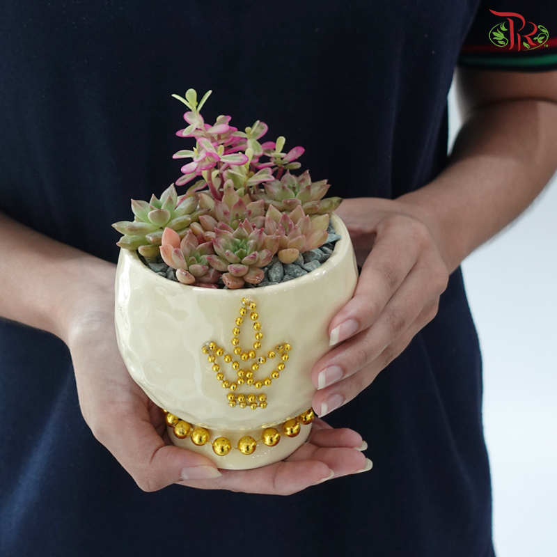 【Deepavali Series 2026】Gilded Light of Succulent