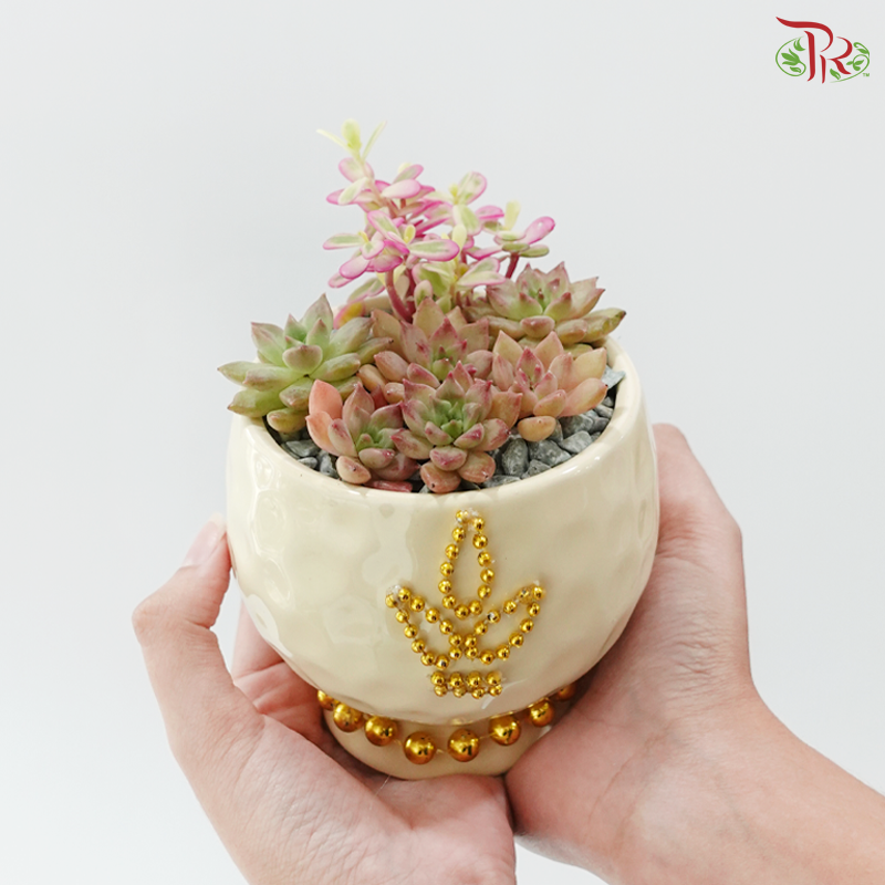 【Deepavali Series 2026】Gilded Light of Succulent